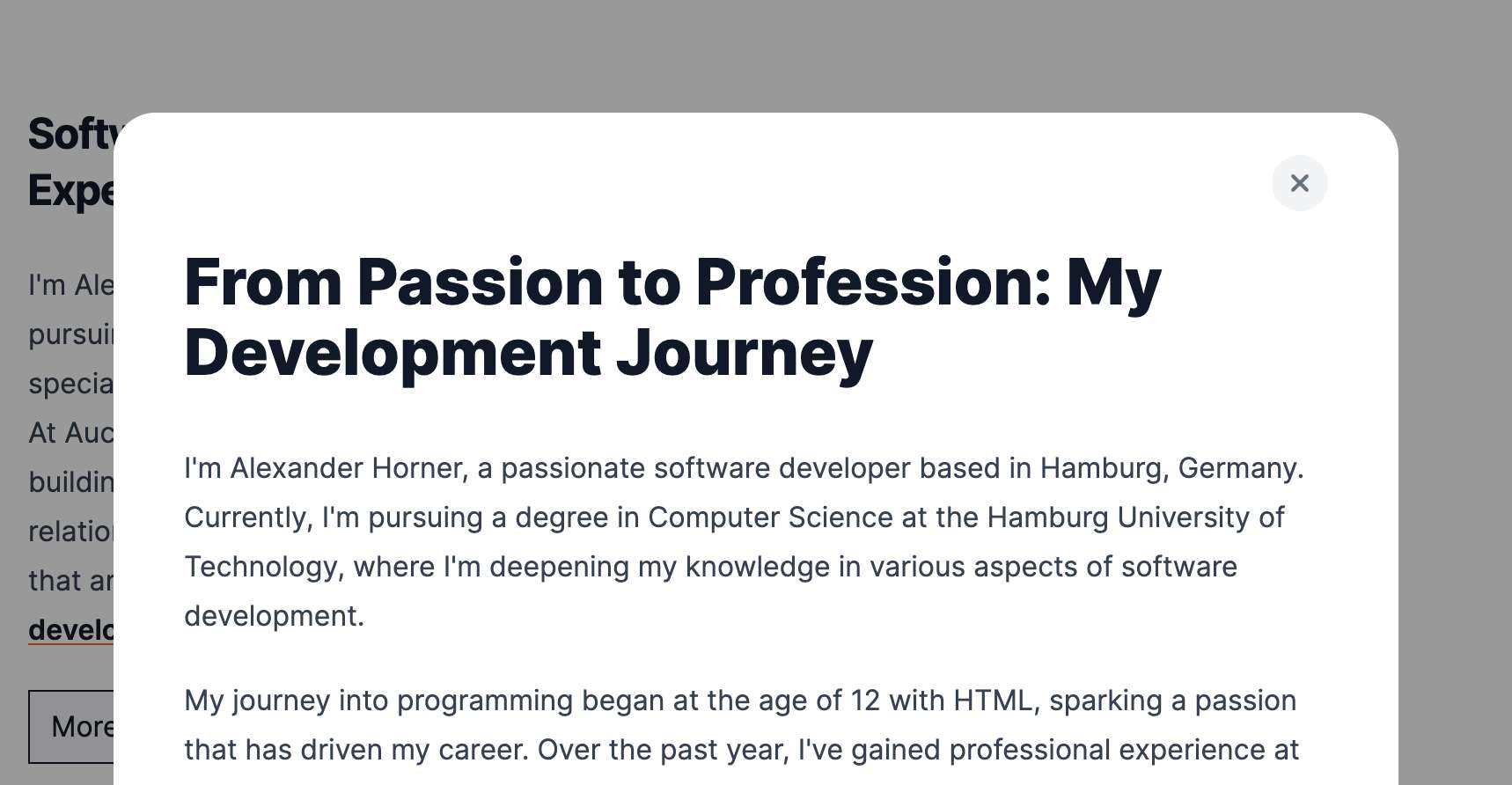 Screenshot of Portfolio Modal